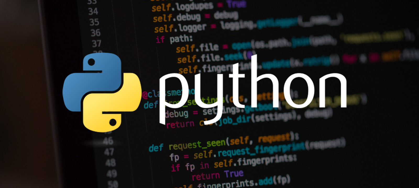 Python Developer (AI)