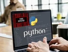 Entry-Level Python Developer