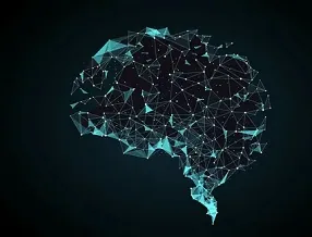 Neural Network Developer (Entry Level)