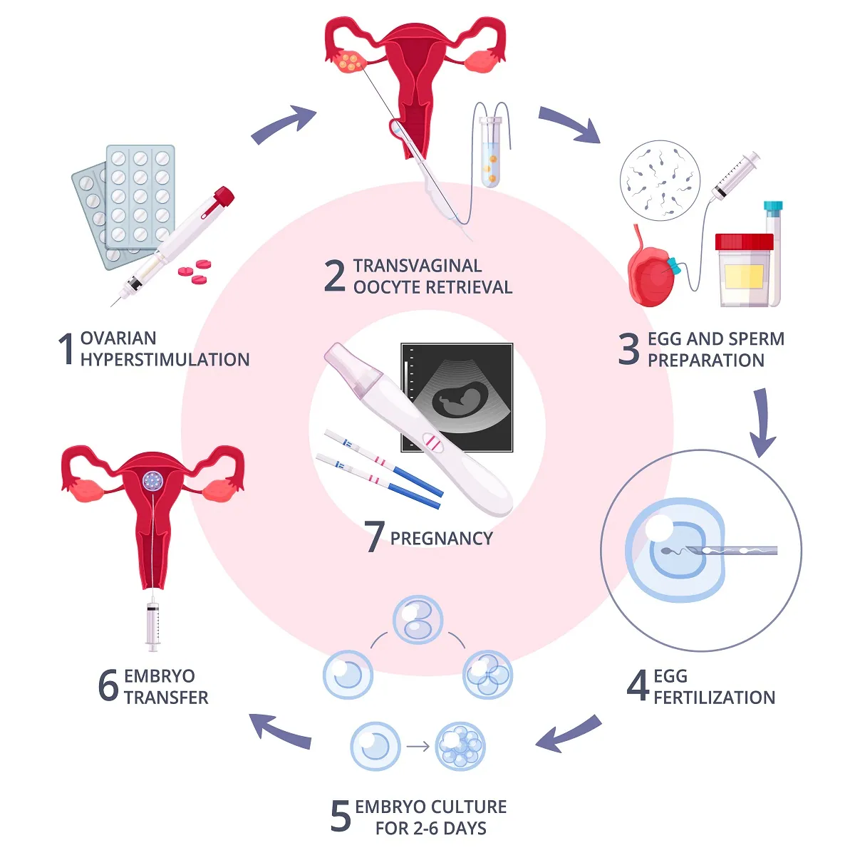 How to Start an Artificial Insemination Job: A Step-by-Step Career Guide